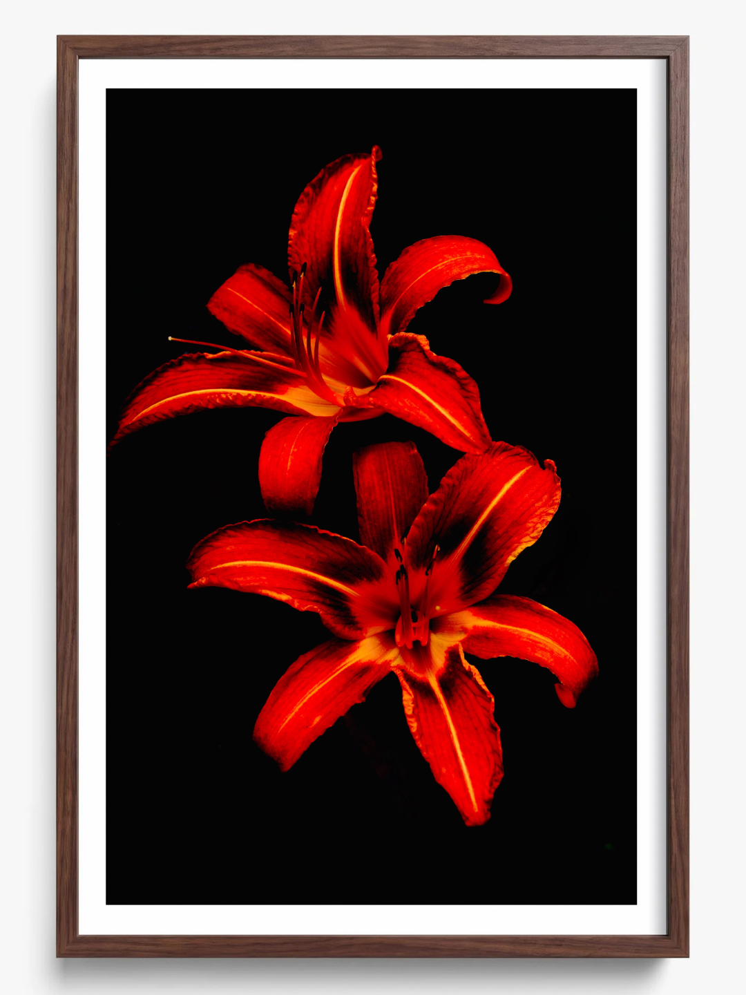 Red Lilies
