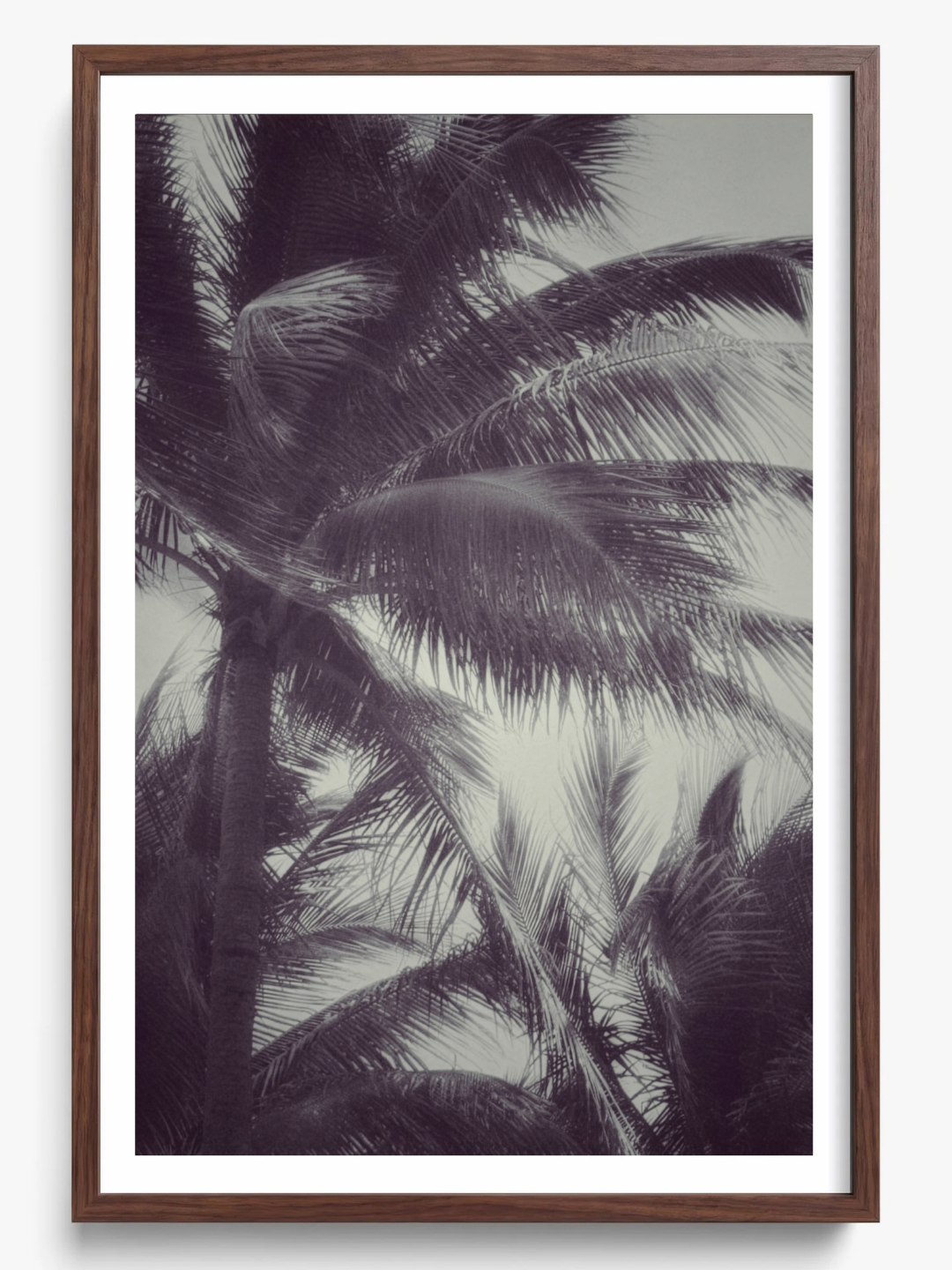 Tropical breath