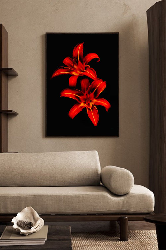 Tirage photo fine art de deux lys rouges sur fond noir, contraste floral intense