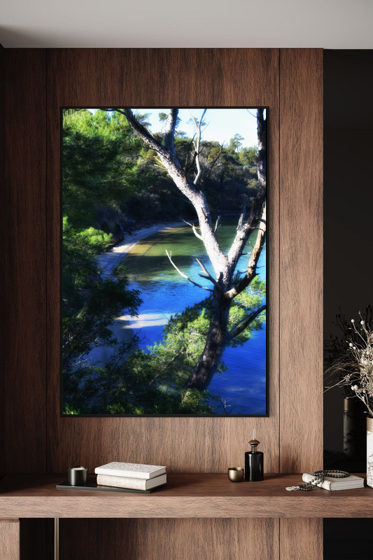 Tirage Coastal Refuge encadré, photographie fine art de crique sauvage et forêt littorale, présenté dans un intérieur en bois sombre