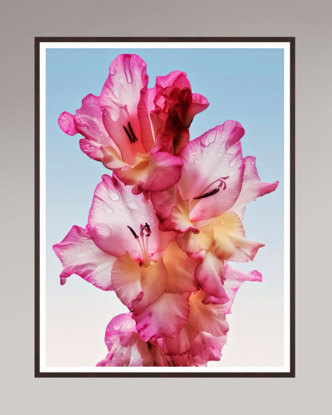 Photographie fine art encadrée Floral Dew, format 105×140 cm, composition florale poétique.
