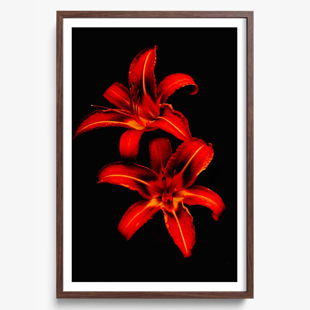 Red Lilies