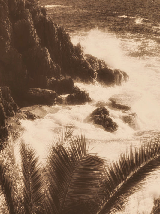 Savage Riviera, photographie fine art en tons sépia montrant des vagues frappant les rochers avec des palmes au premier plan.
