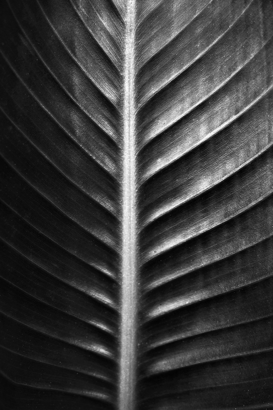 The Sacred Art of Nature