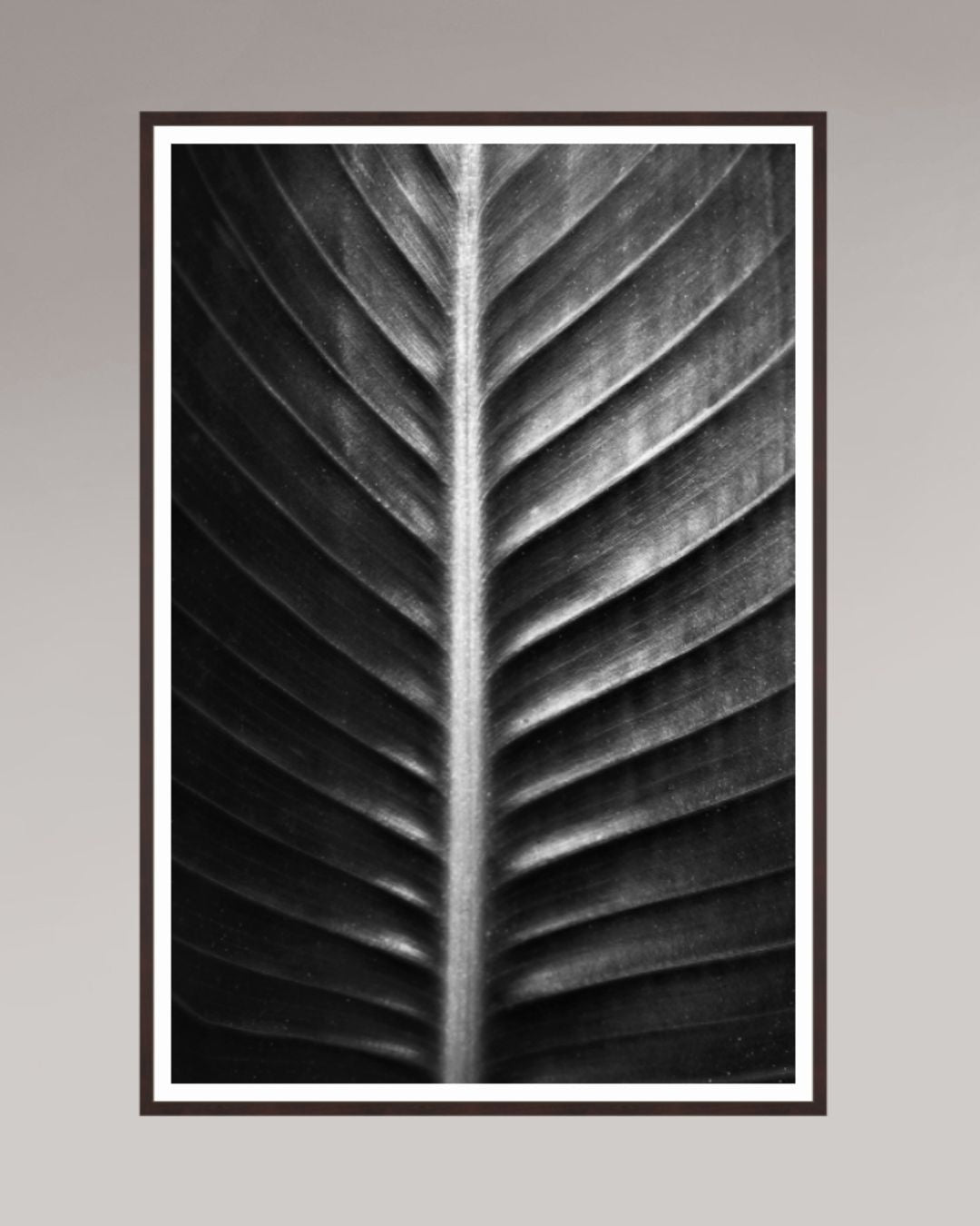 Photographie fine art encadrée The Sacred Art of Nature, format 100×150 cm, tirage d’art en noir et blanc