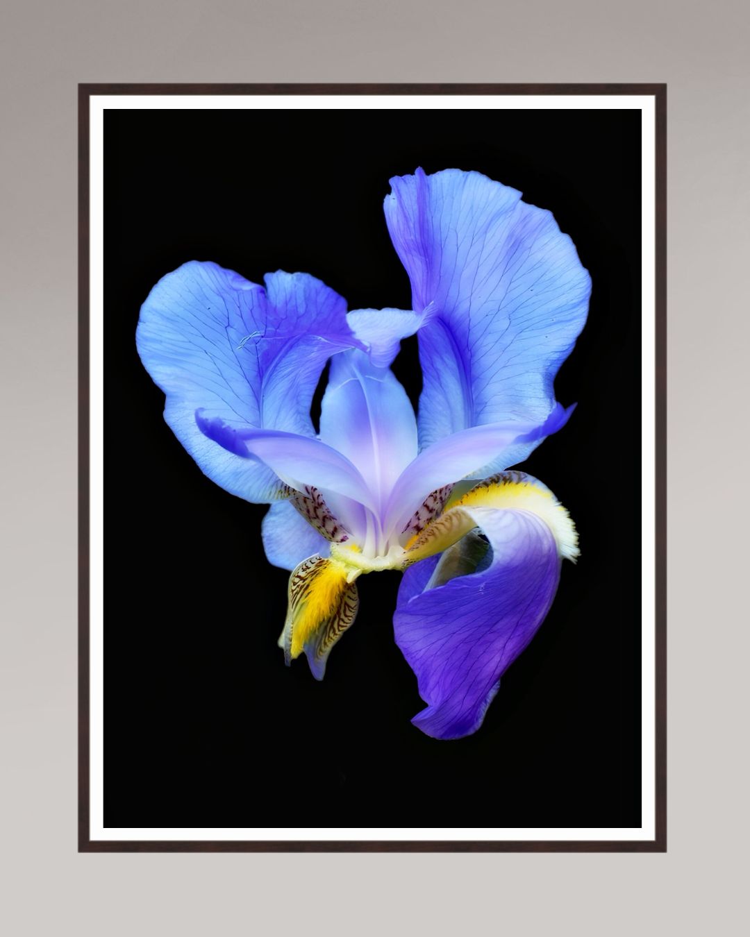 Midnight Bloom