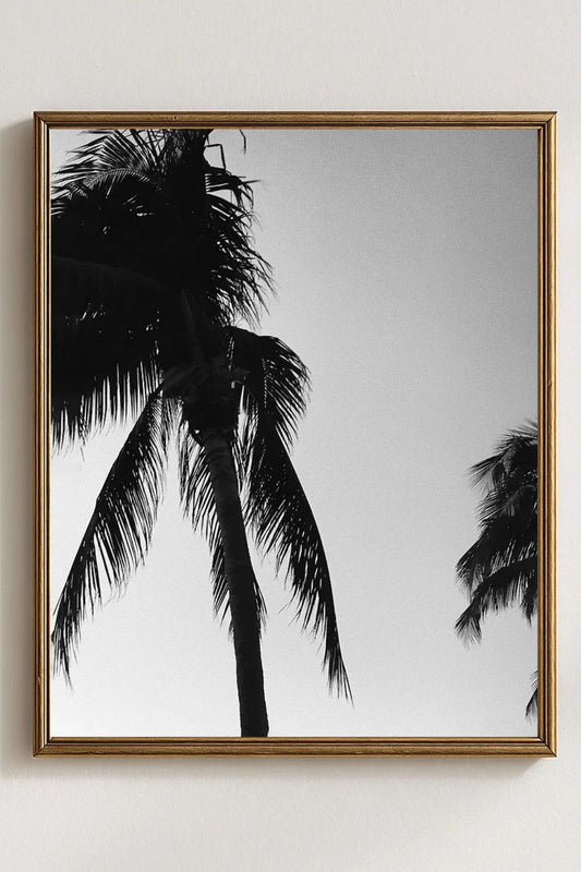 Tirage photo fine art noir et blanc de palmiers en silhouette sur ciel dégradé