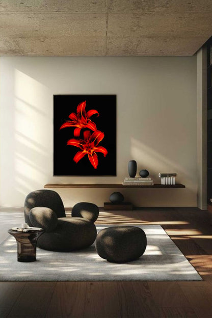 Tirage photo fine art de deux lys rouges sur fond noir, contraste floral intense 