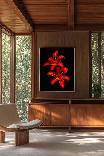 Tirage photo fine art de deux lys rouges sur fond noir, contraste floral intense 