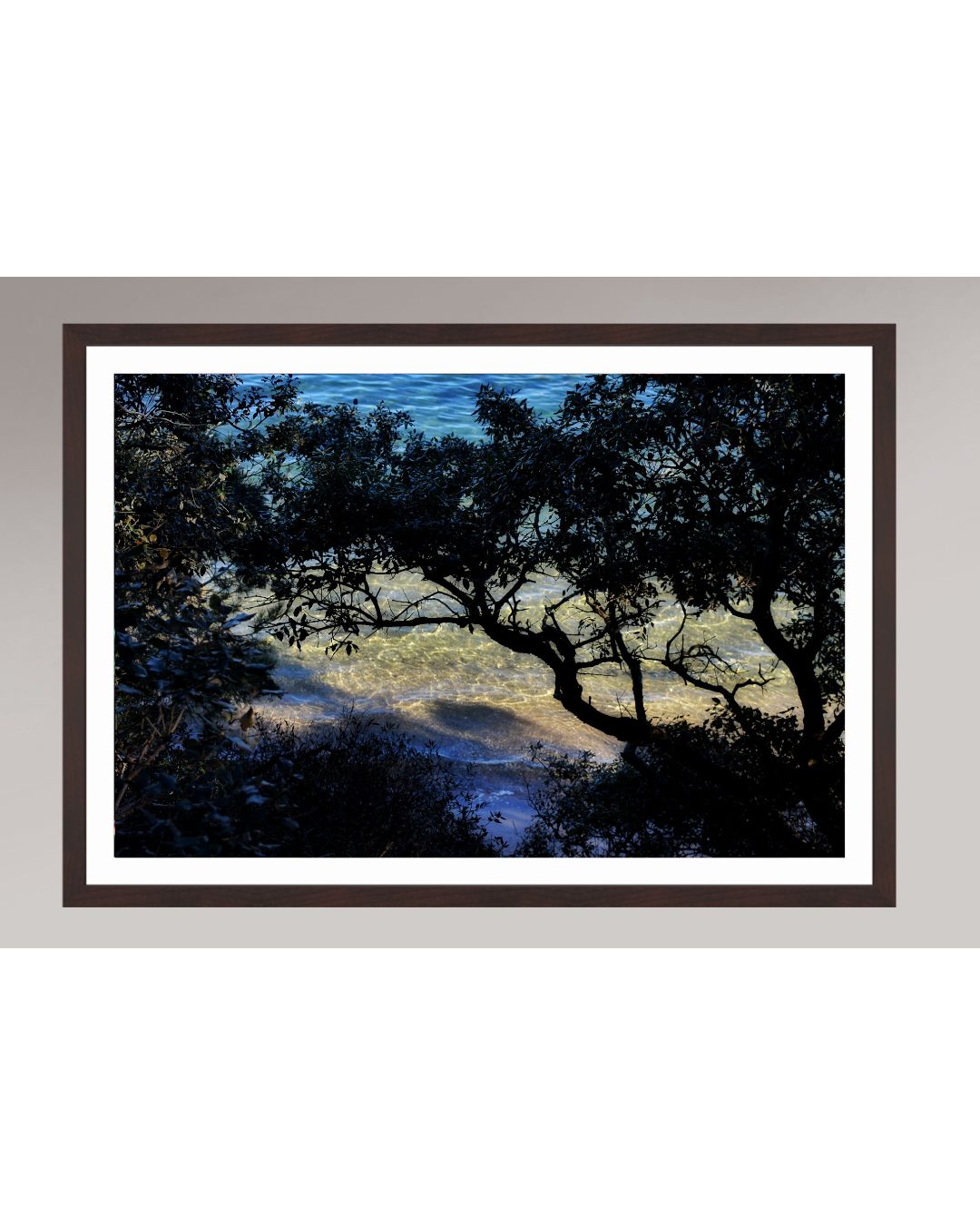 Shoreline Whispers