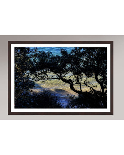 Shoreline Whispers