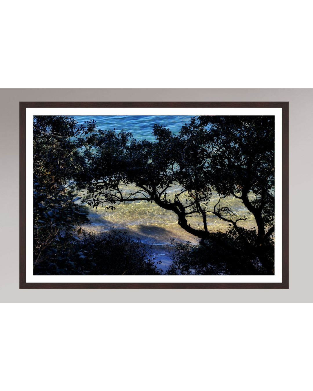 Shoreline Whispers