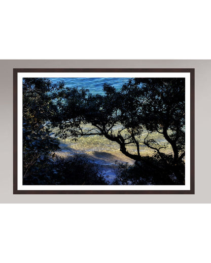 Shoreline Whispers