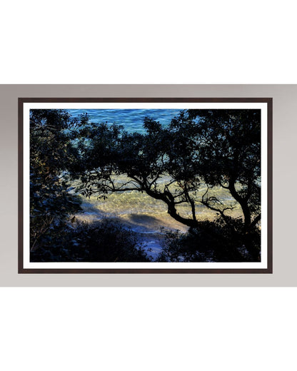 Shoreline Whispers