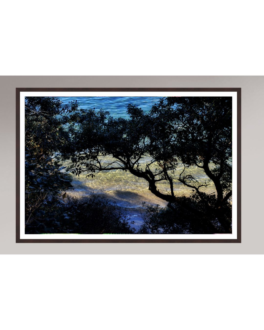 Shoreline Whispers