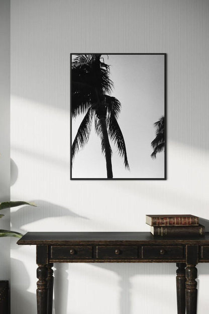 Tirage photo fine art noir et blanc de palmiers en silhouette sur ciel dégradé