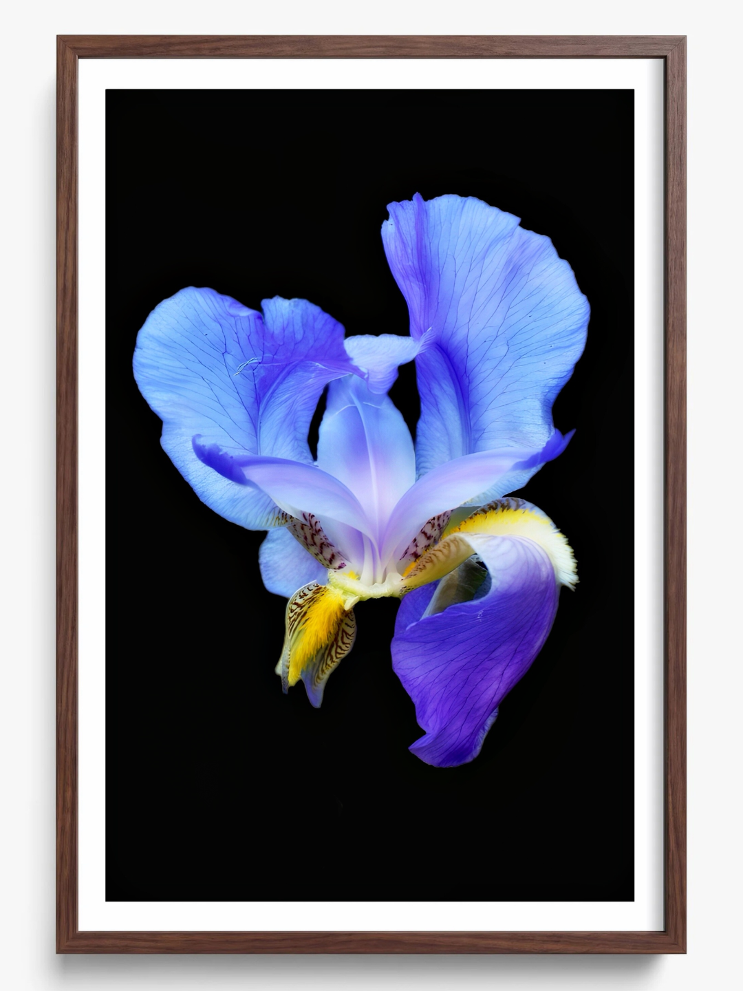 Midnight Bloom