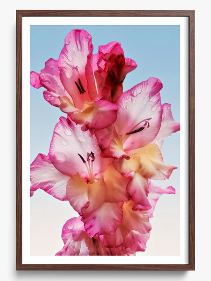 Floral Dew