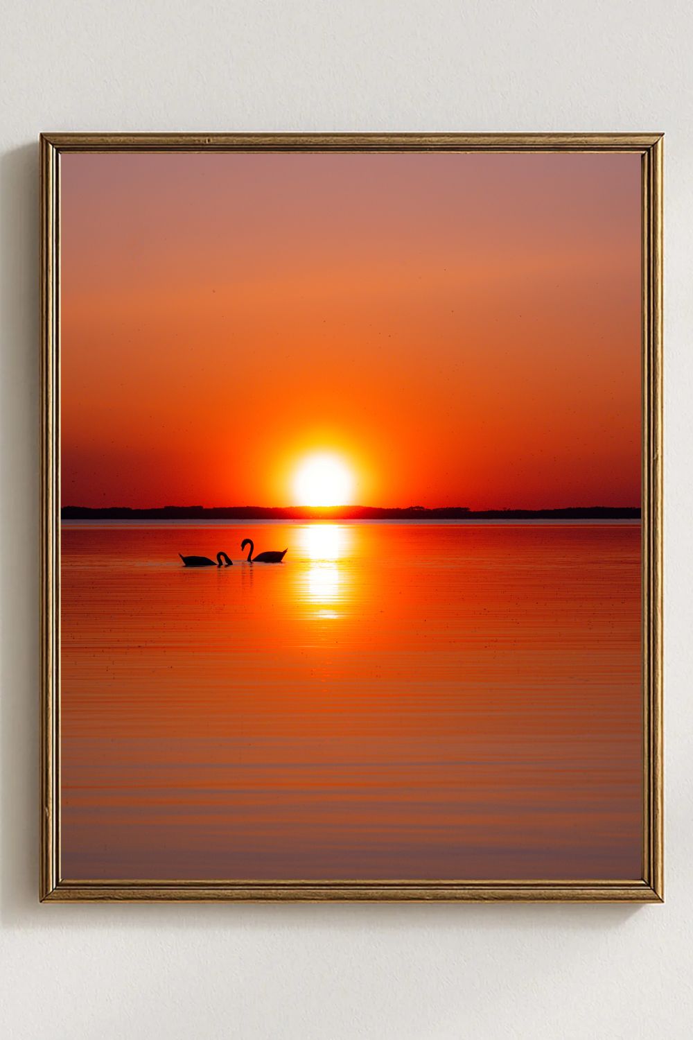 Where Love meets Light