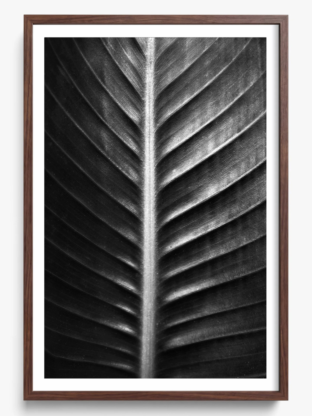 The Sacred Art of Nature