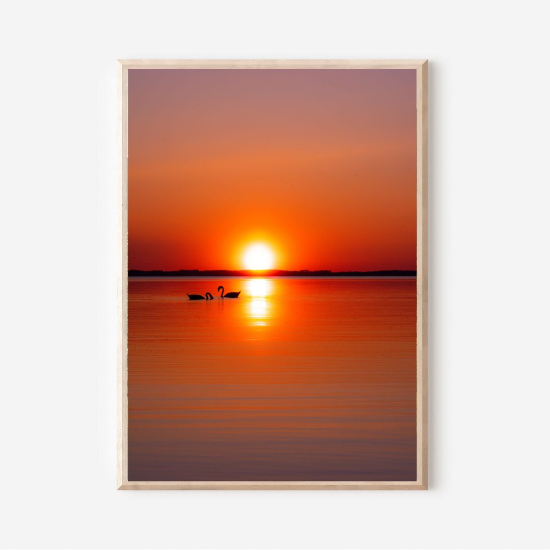 Where Love meets Light