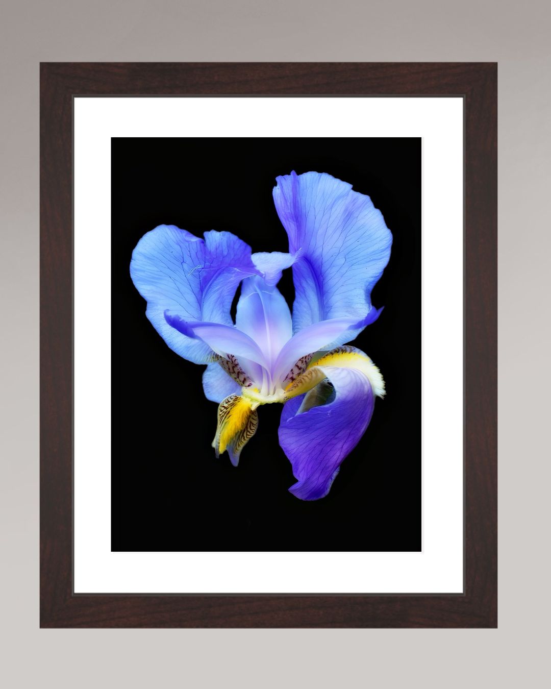 Midnight Bloom