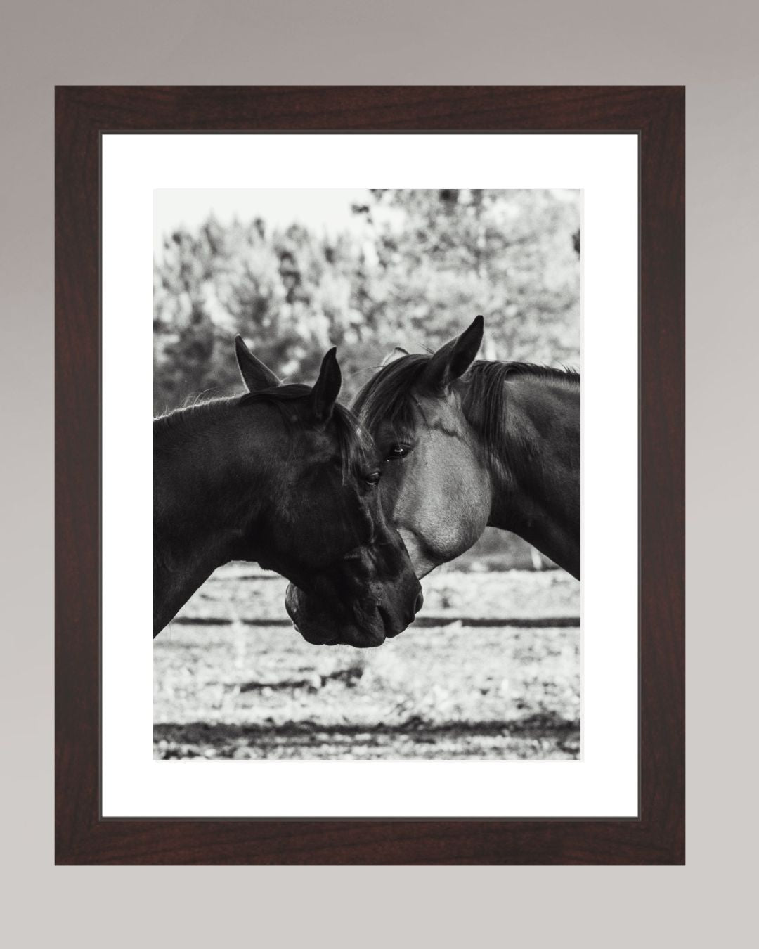 Horses' Complicity