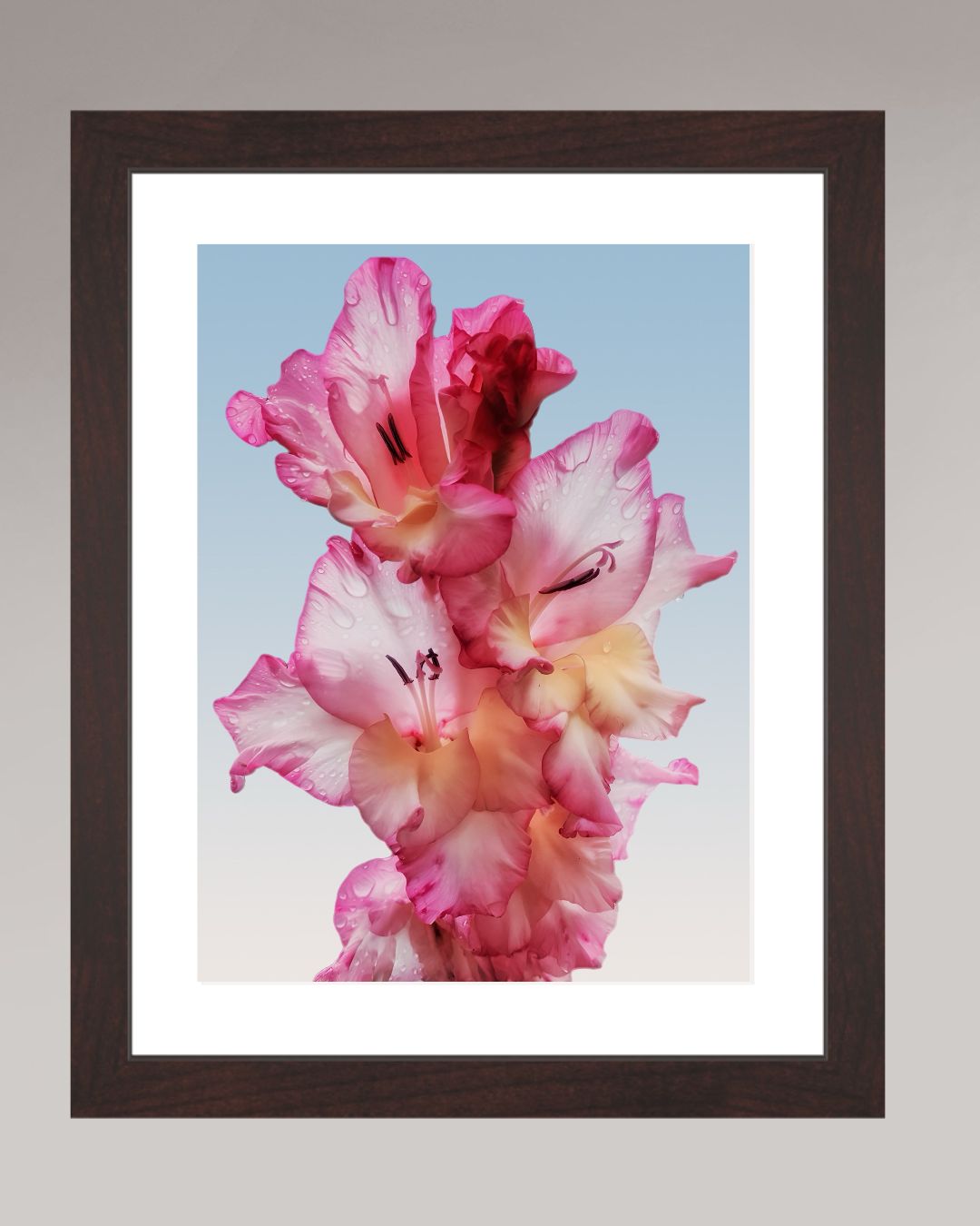 Floral Dew