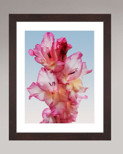 Floral Dew