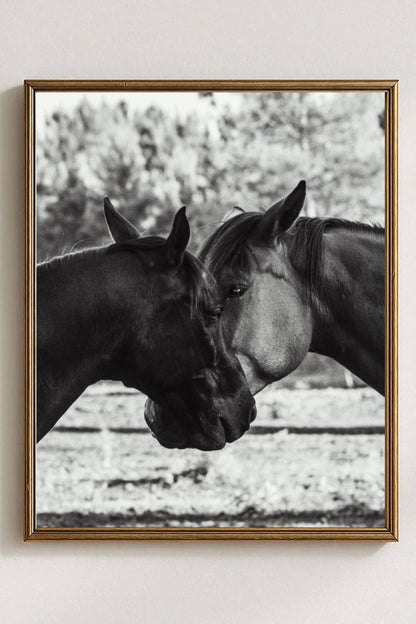 Tirage photo fine art noir et blanc de deux chevaux en symétrie, têtes rapprochée