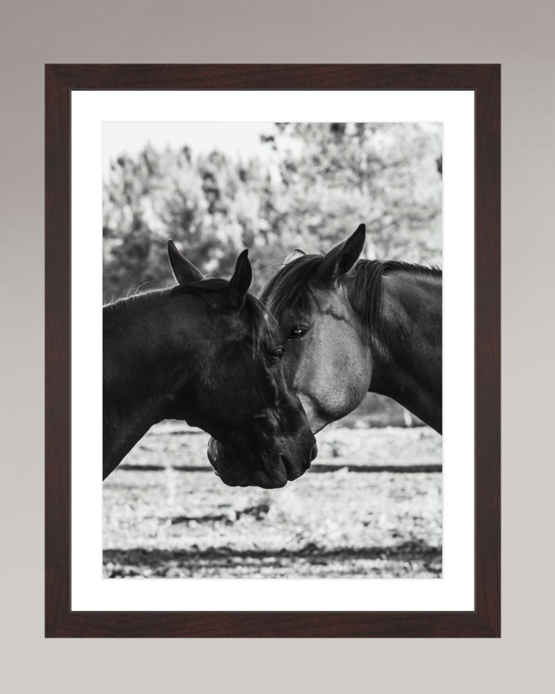Horses' Complicity