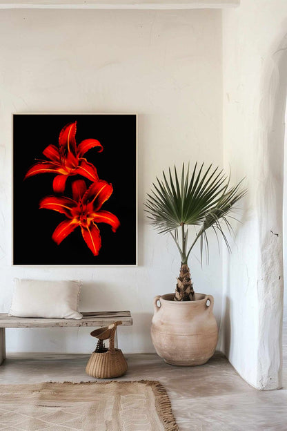 Tirage photo fine art de deux lys rouges sur fond noir, contraste floral intense 