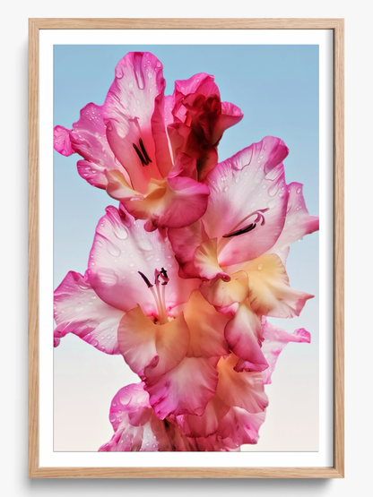 Floral Dew