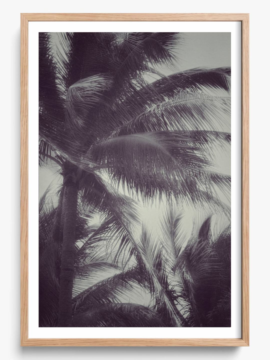Tropical breath