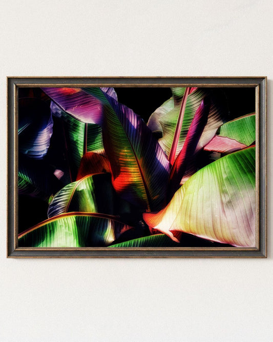 tropical night - Bandanas SimpleMax