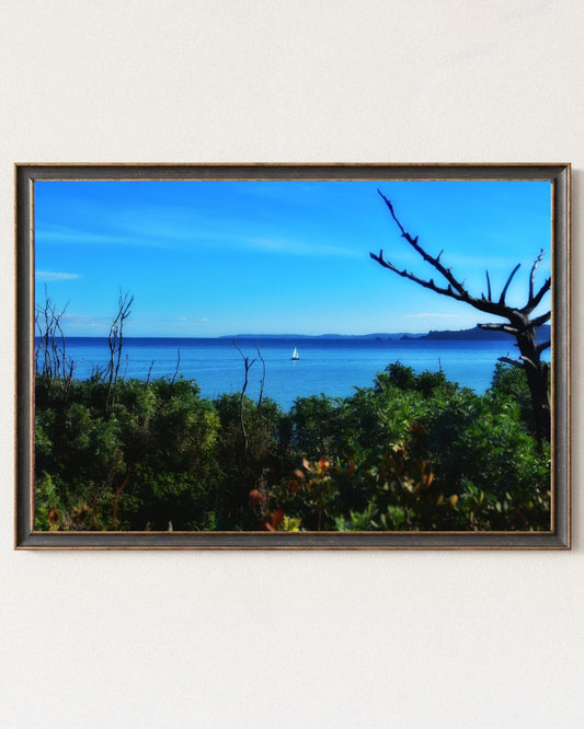 Solitary Voyage - Bandanas SimpleMax