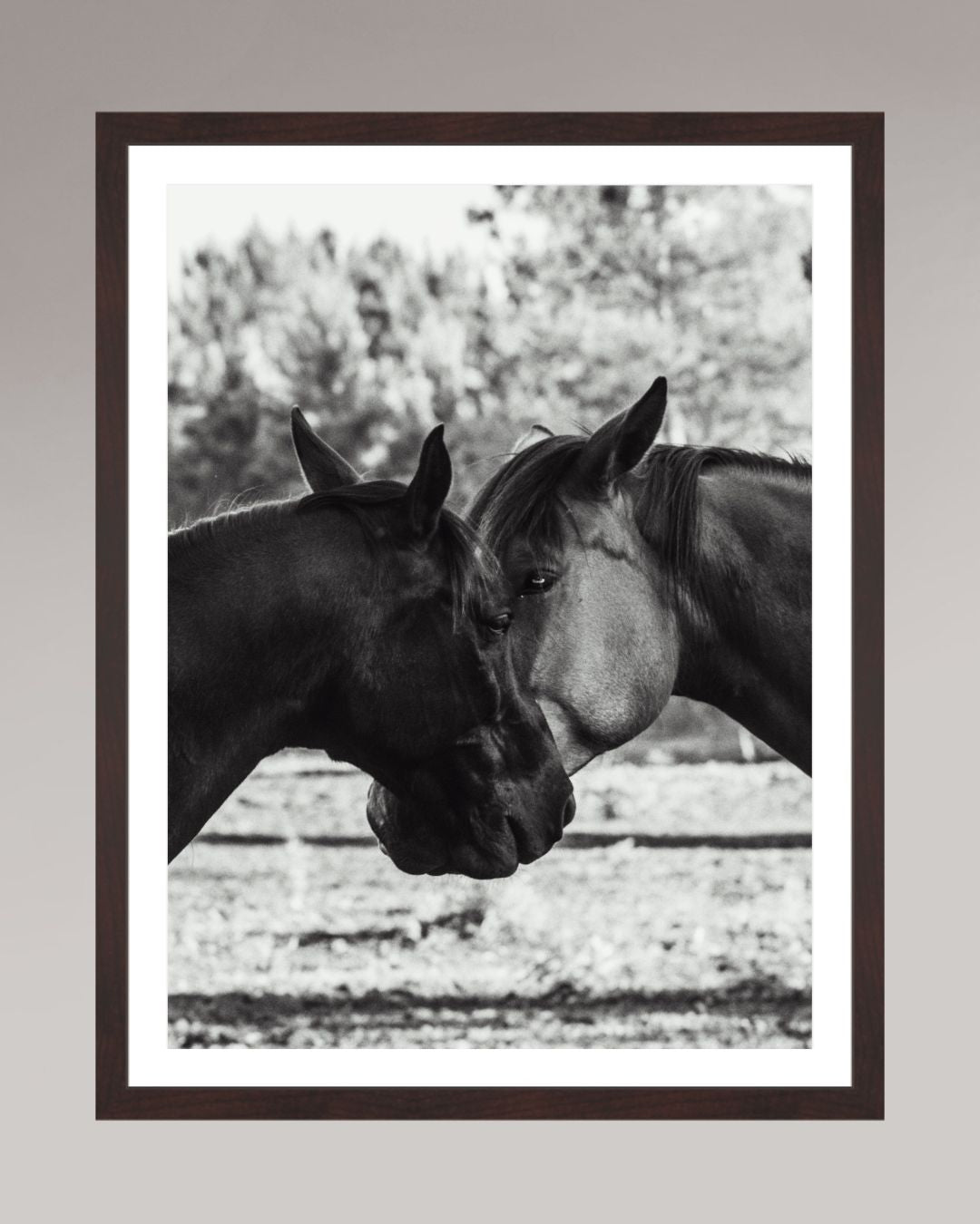 Horses' Complicity