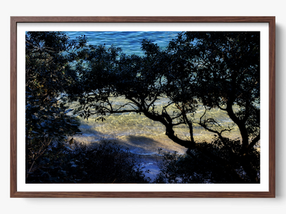 Shoreline Whispers