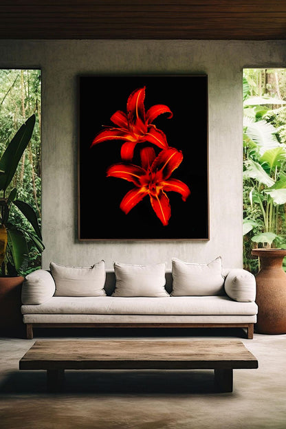 Tirage photo fine art de deux lys rouges sur fond noir, contraste floral intense 