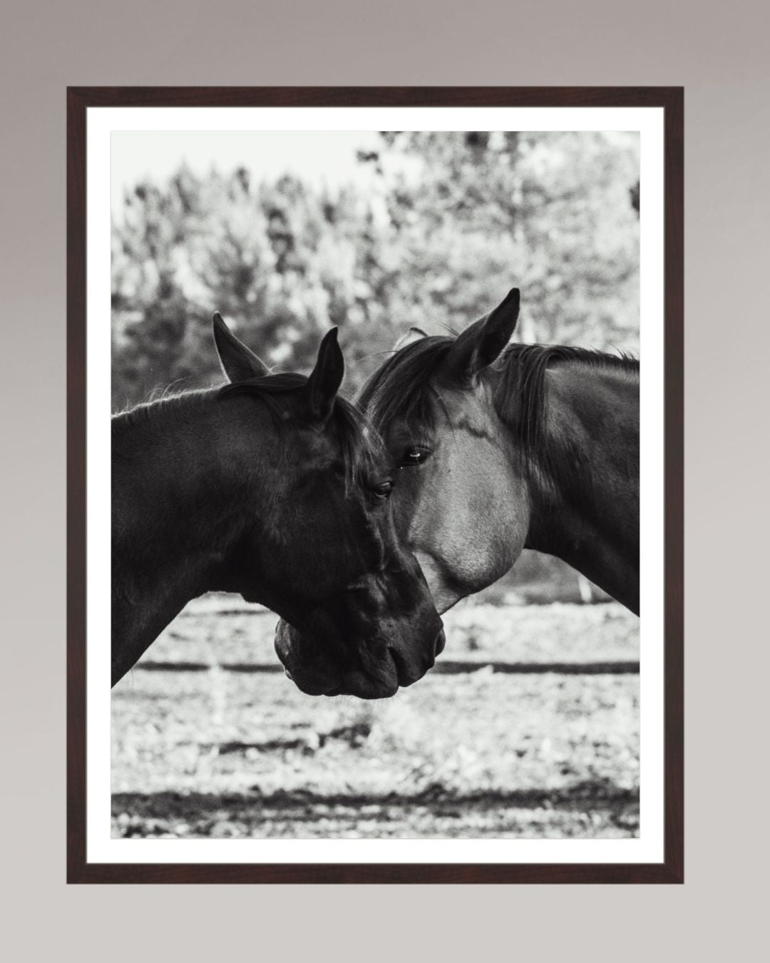 Horses' Complicity