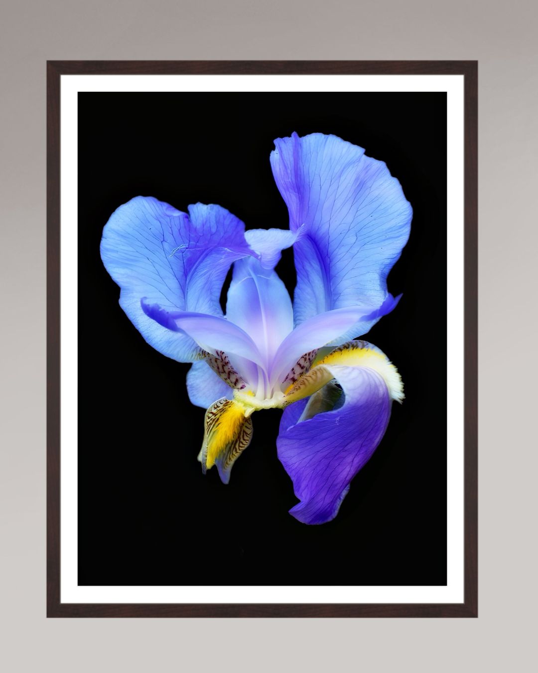 Midnight Bloom