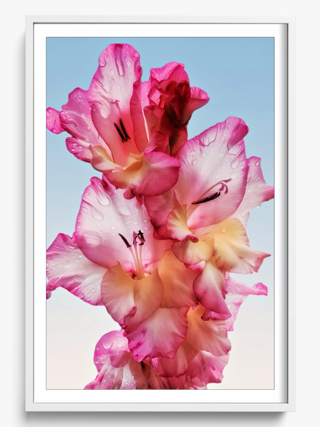 Floral Dew