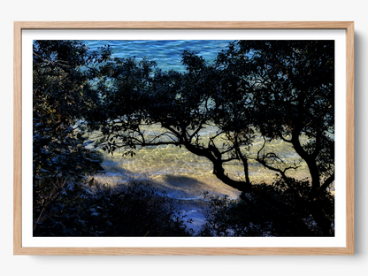 Shoreline Whispers