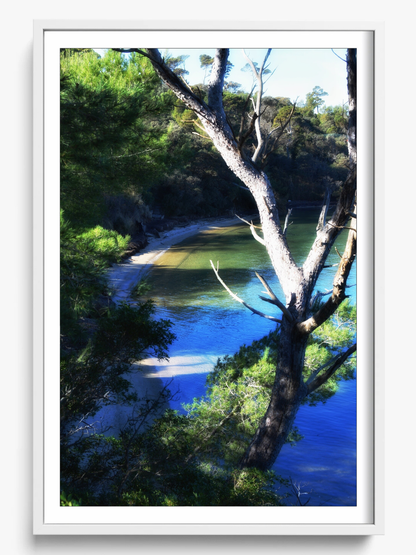 Coastal Refuge