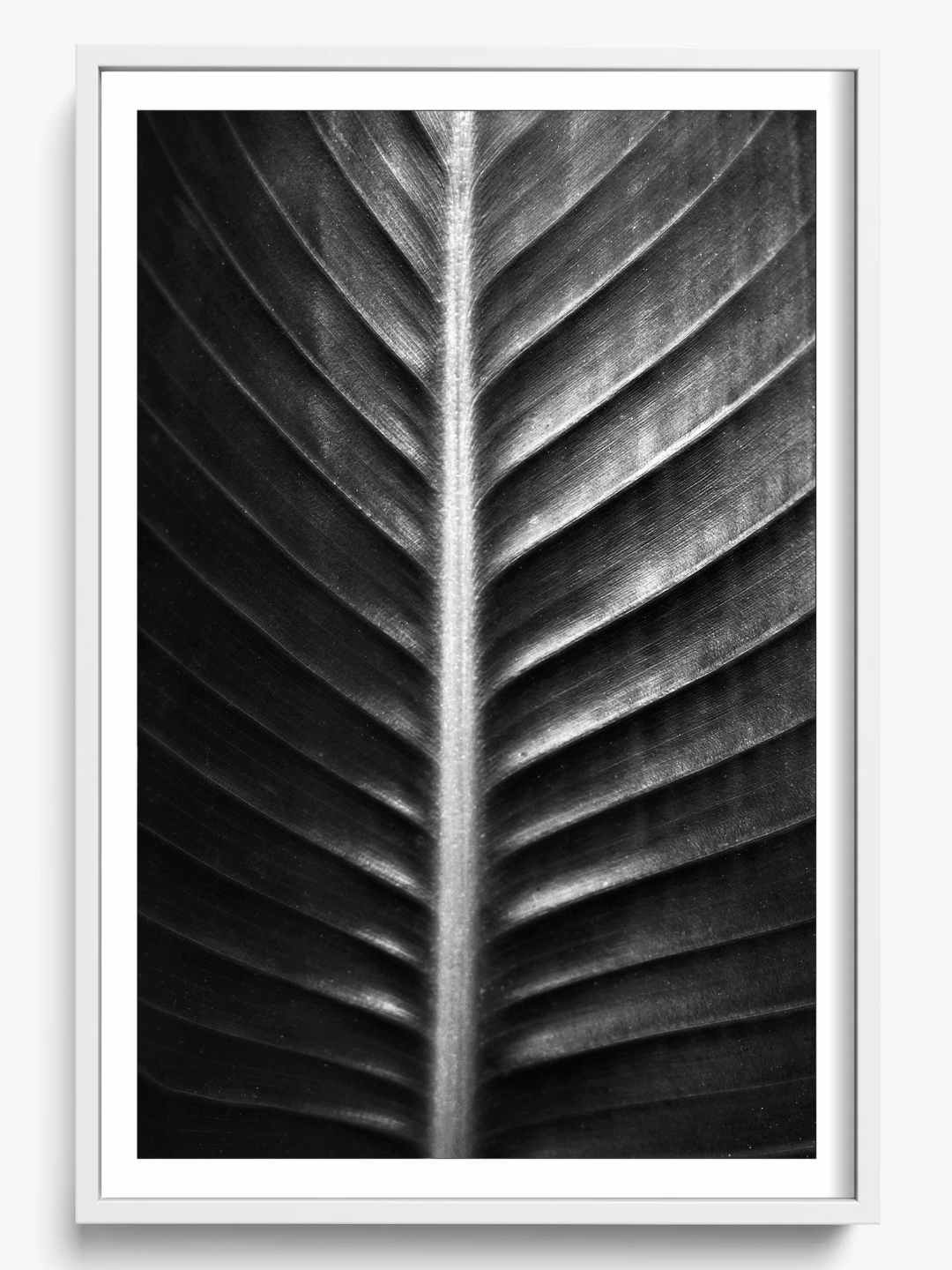 The Sacred Art of Nature