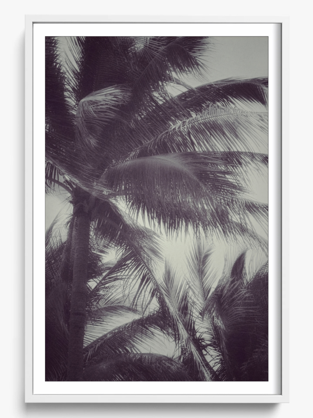 Tropical breath