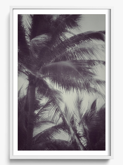 Tropical breath