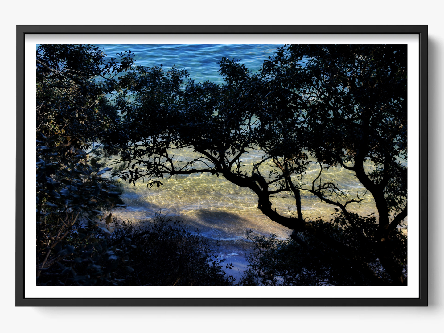 Shoreline Whispers