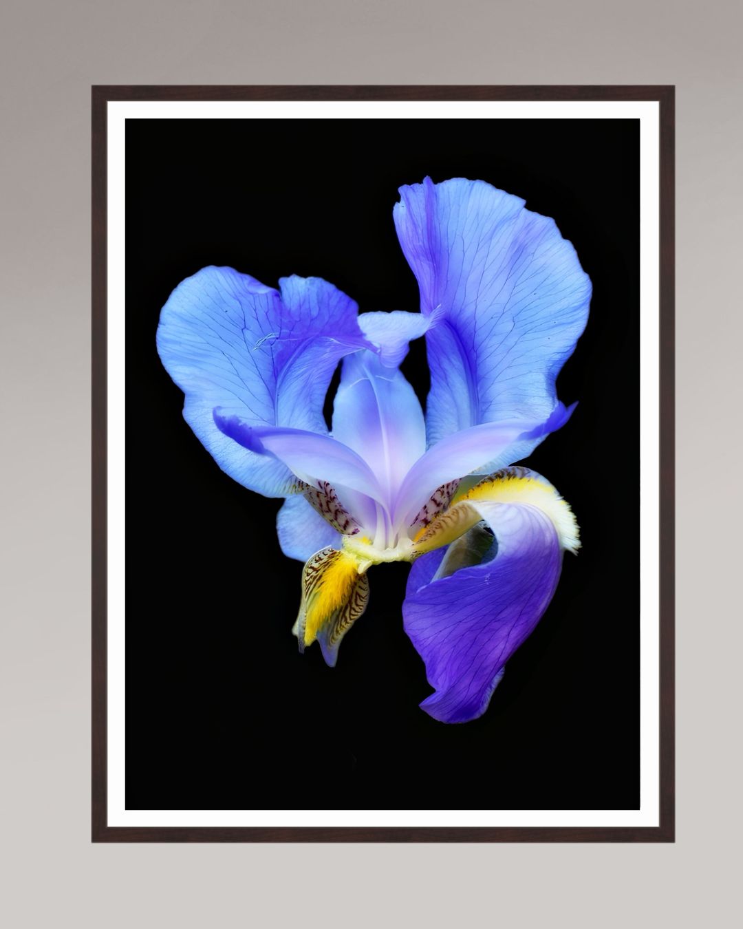Midnight Bloom