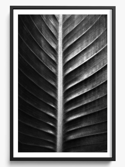 The Sacred Art of Nature